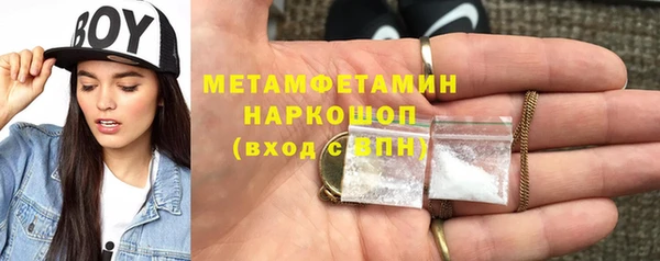индика Новозыбков