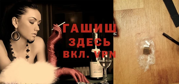 индика Новозыбков