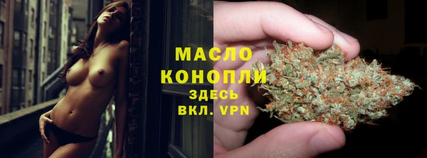 индика Новозыбков