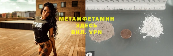 индика Новозыбков