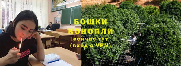 эйфоретик Анива