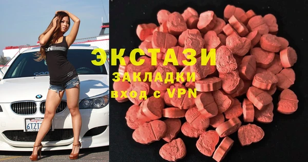 индика Новозыбков