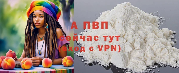 индика Новозыбков