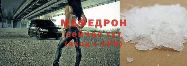 индика Новозыбков