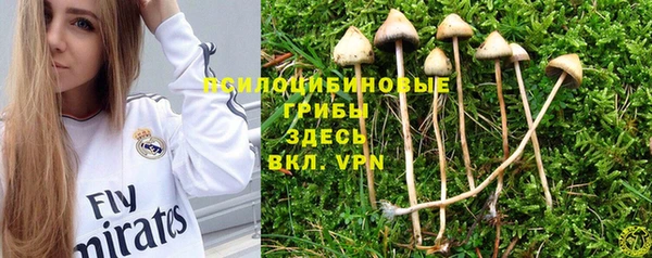 синтетический гашиш Новодвинск