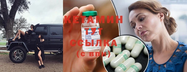 индика Новозыбков