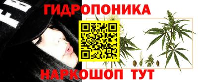 стаф Моздок