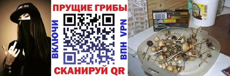 Псилоцибиновые грибы MAGIC MUSHROOMS  Петрозаводск 