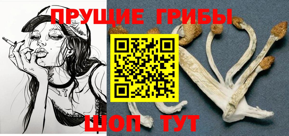 Петрозаводск  Галлюциногенные грибы мухоморы  Вход с VPN 