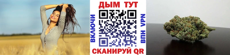 купить наркотики сайты  мега ссылка  Бошки марихуана Amnesia  Петрозаводск 